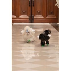 リングドッグ　最高のウェディングの画像2