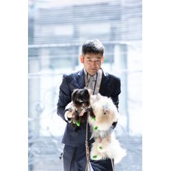 リングドッグ　最高のウェディングの画像1