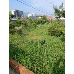 ☆★草刈り作業★☆の画像1