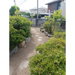 ☆★草刈り作業★☆の画像3