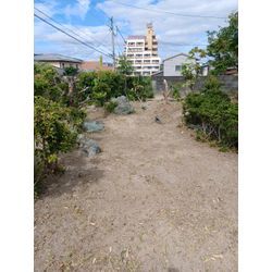 ☆★草刈り作業★☆の画像2