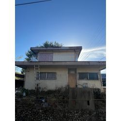 空き家蔦撤去の画像3