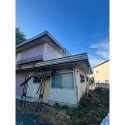 空き家蔦撤去の画像2