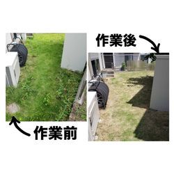【これからの時期、草むしりが大切です🌿】の画像1