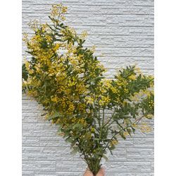 【嬉しい贈り物💐モチベーションアップ！！】の画像1