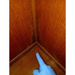 お部屋のカビ除去クリーニングの画像1