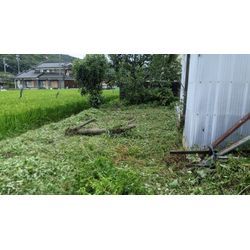 草刈り作業伐採の画像2