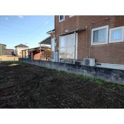 樹木伐採、抜根の画像2