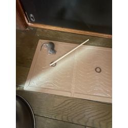 【久喜市】クマネズミの子供が、、、の画像1