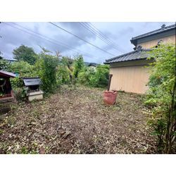 除草作業をさせて頂きました！の画像3