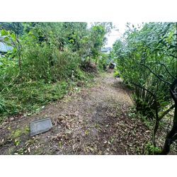 除草作業をさせて頂きました！の画像2