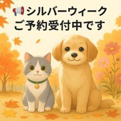 📢 秋の連休（シルバーウィーク）ご予約受付中です🍂の画像1