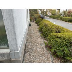 神戸市のお客様より草むしりのご依頼です！の画像2