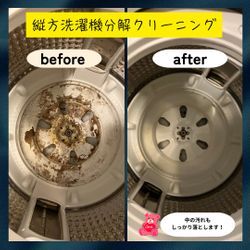 部屋干し臭はカビが原因？洗濯槽の防臭術の画像1