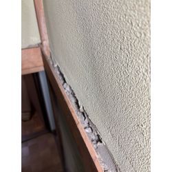 世田谷区ネズミ駆除の画像1