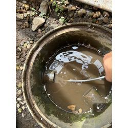 茨城県境町🌈の画像3