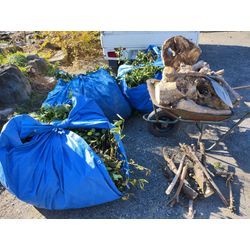 今日も秋晴れ！藤岡市で庭木伐採＆剪定⇒前橋市で草刈作業1日目　〜群馬高崎の植木屋ゆうさんShortBlog〜の画像2