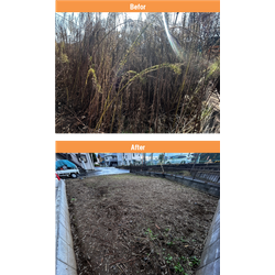 【昭島市】建築予定地の除草作業　2025年11月6日の画像1