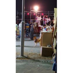 地元の祭りに行きましたの画像1