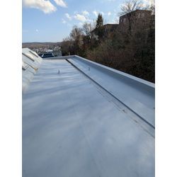 落ち葉拾いのご依頼です！の画像1