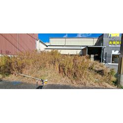 冬場の草刈り👍の画像1