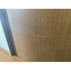 室内ドアの割れ凹みの画像1