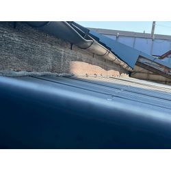 八千代市ラーメン屋ネズミ駆除の画像1