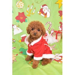 もーすぐクリスマスの画像1