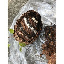 緊急対応しました！の画像1