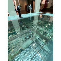 Back to Australiaの画像3