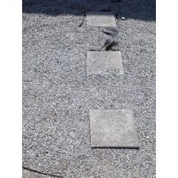 草刈りでお庭をスッキリしませんか？の画像2