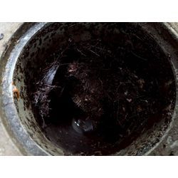 📍【兵庫県三田市】 🌳排水枡に木の根が侵入⁉️ 🧰 高圧洗浄＋ワイヤー＋カメラ調査でしっかり対応！の画像1