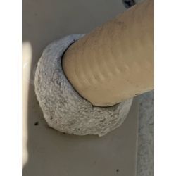 神奈川県横須賀市ゴキブリ駆除の画像1