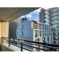 鳥害対策の画像3