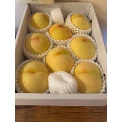 【8月スタート！】の画像2