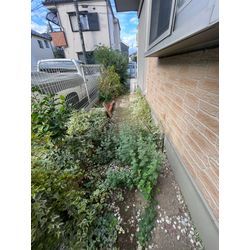 お庭を自分好みに変えたいというお客さまからのご依頼の画像3