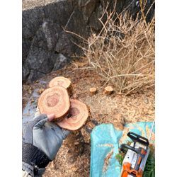 初めてのお客様は、の画像1