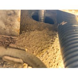 大田区ネズミ駆除の画像1