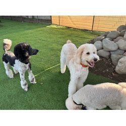 今年もありがとうございました！年内最終日の画像1