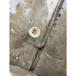 防虫キャップっての画像1