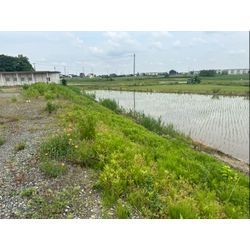 除草作業をさせて頂きました！【の画像1