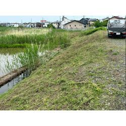 除草作業をさせて頂きました！【の画像3