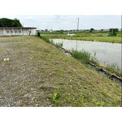 除草作業をさせて頂きました！【の画像2