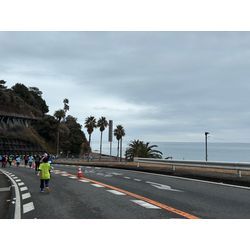 龍馬マラソン2026の画像1