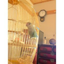 毎年のご依頼に感謝✨ドレンパン分解で徹底エアコンクリーニングの画像3