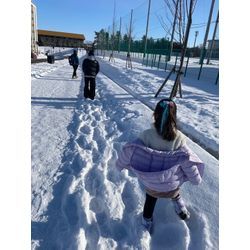 🌺北海道旅行　エスコンへ③🌺の画像3