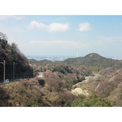 法人化のお知らせの画像2