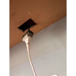 川口市鼠駆除の画像1