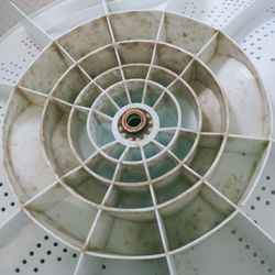 洗濯機、半年間のリアルな汚れです。の画像1