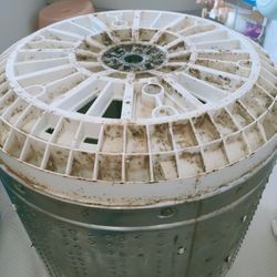 洗濯機、半年間のリアルな汚れです。の画像2